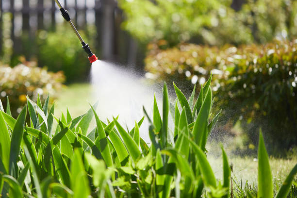 24/7 Emergency Cockroach Control experts in Garden Grove, FL