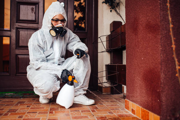 Reliable Cockroach Control contractor in Garden Grove, FL by Nex Pest Control