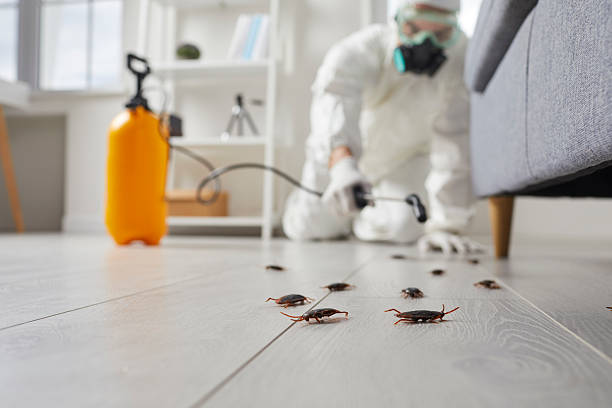 Trusted Cockroach Control service in Garden Grove, FL - Nex Pest Control